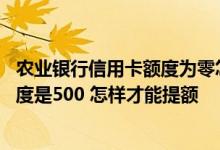 农业银行信用卡额度为零怎样提额 本人的农业银行信用卡额度是500 怎样才能提额