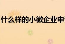 什么样的小微企业申请贷款能够成功通过审批