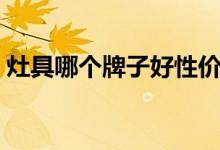 灶具哪个牌子好性价比高（灶具哪个牌子好）