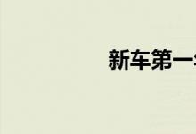 新车第一年车险的价格