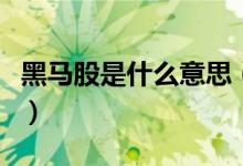 黑马股是什么意思（黑马股票有哪些共同特征）