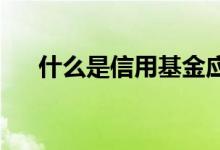 什么是信用基金应该对它们有多少敞口