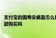 支付宝的国寿安鑫盈怎么找到 支付宝里的国寿安鑫盈能用余额购买吗