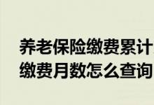 养老保险缴费累计月数在哪里查 养老险累计缴费月数怎么查询