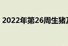 2022年第26周生猪及猪肉价格同比环比双涨
