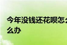 今年没钱还花呗怎么办 2020年没钱还花呗怎么办