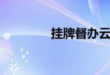 挂牌督办云南（挂牌招标）