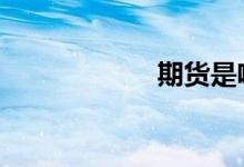期货是啥 期货是啥