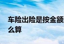 车险出险是按金额还是次数 车险一年期限怎么算