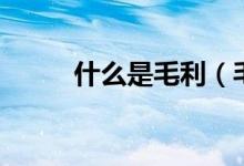 什么是毛利（毛利率是什么意思）