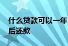 什么贷款可以一年以后还 什么贷款可以一年后还款