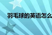 羽毛球的英语怎么读（羽毛球的网多高）