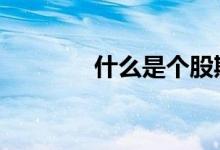 什么是个股期权 什么是个股