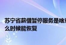 苏宁省薪借暂停服务是啥意思 苏宁省薪借有额度借不出来什么时候能恢复