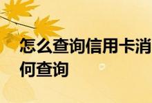 怎么查询信用卡消费记录 信用卡消费记录如何查询