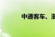 中通客车、浙江世宝继续跌停
