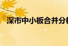 深市中小板合并分析 中小板合并什么意思