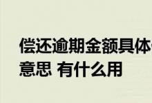 偿还逾期金额具体什么意思 逾期金额是什么意思 有什么用