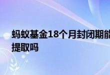 蚂蚁基金18个月封闭期能取出来吗 蚂蚁基金封闭期收益可提取吗