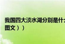 我国四大淡水湖分别是什么?（我国四大淡水湖都包括哪些（图文））
