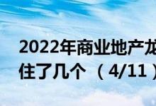 2022年商业地产龙头上市公司有哪些（你抓住了几个 （4/11））