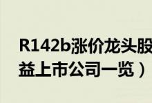 R142b涨价龙头股有哪些（生产R142b的受益上市公司一览）