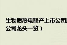 生物质热电联产上市公司股票有哪些（生物质热电联产上市公司龙头一览）