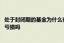 处于封闭期的基金为什么有亏损 有一个固定封闭期的基金会亏损吗