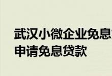 武汉小微企业免息贷款政策 武汉个体户怎么申请免息贷款