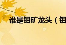 谁是钼矿龙头（钼矿价格行情走势分析）