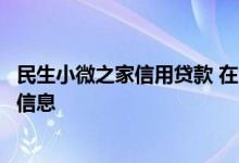 民生小微之家信用贷款 在民生小微之家申请贷款要填写什么信息