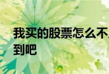 我买的股票怎么不见了 我买的股票别人看不到吧