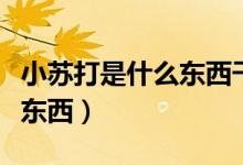 小苏打是什么东西干什么用的（小苏打是什么东西）