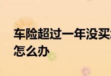 车险超过一年没买怎么办 车险隔了一年没买怎么办