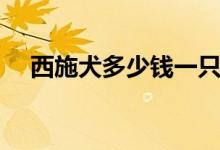 西施犬多少钱一只（纯种西施犬的价格）