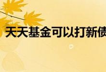 天天基金可以打新债吗 天天基金可以打新吗