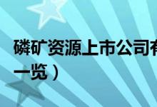 磷矿资源上市公司有哪些（相关上市公司龙头一览）