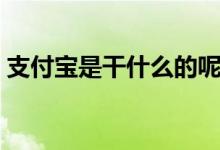 支付宝是干什么的呢（支付宝是干什么用的）