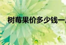 树莓果价多少钱一斤（2020年最新价格）