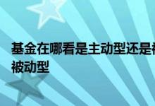 基金在哪看是主动型还是被动型 怎么看基金属于主动型还是被动型
