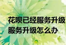 花呗已经服务升级了怎么办 不小心点了花呗服务升级怎么办
