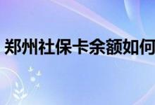 郑州社保卡余额如何查询 医疗保险怎么查询 