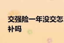 交强险一年没交怎么处理 交强险一年没交要补吗