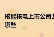核能核电上市公司龙头股核能核电上市公司有哪些