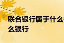 联合银行属于什么银行类别 联合银行属于什么银行