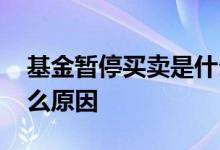 基金暂停买卖是什么原因 基金暂停买卖是什么原因