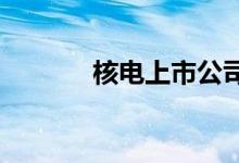 核电上市公司概念龙头股一览