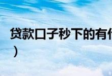 贷款口子秒下的有什么软件（贷款口子秒下的）