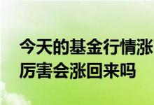 今天的基金行情涨了还是跌了 买的基金跌得厉害会涨回来吗