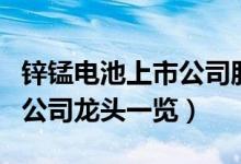 锌锰电池上市公司股票有哪些（锌锰电池上市公司龙头一览）